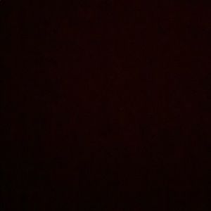 Meet your Posher, Alida